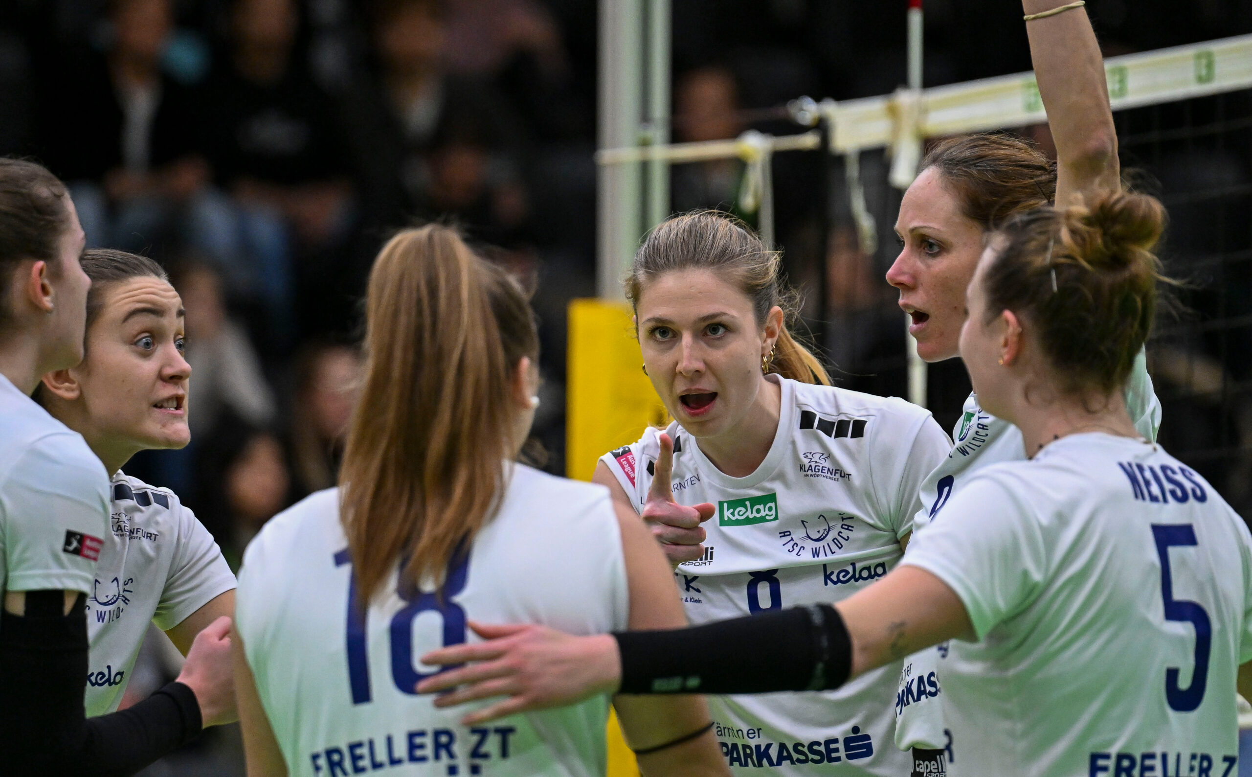 VOLLEYBALL – OEVV Cup, Graz vs Klagenfurt